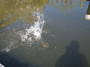 You have to stop fishing